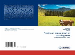 Feeding of canola meal on lactating cows