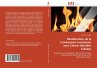 Modélisation de la Combustion... - Bild 1
