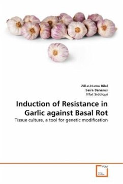 Induction of Resistance in Garlic against Basal Rot - Bilal, Zill-e-Huma;Banarus, Saira;Siddiqui, Iffat