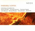 Ensemble Vortex