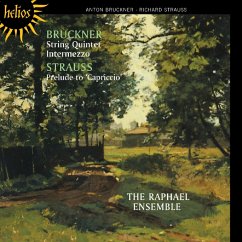 Streichquintett/Intermezzo/+ - Raphael Ensemble