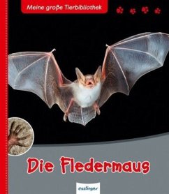 Die Fledermaus / Meine große Tierbibliothek