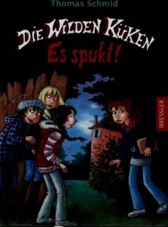 Es spukt! / Die Wilden Küken Bd.4 - Schmid, Thomas