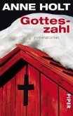 Gotteszahl / Yngvar Stubø Bd.4