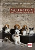 Kastration und Verhalten beim Hund - Eine Entscheidungshilfe