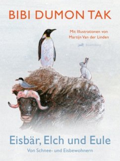 Eisbär, Elch und Eule - Dumon Tak, Bibi