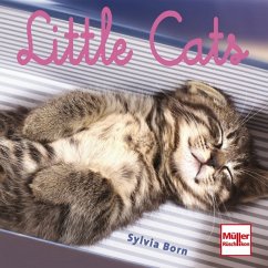 Little Cats - Born, Sylvia