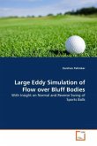 Large Eddy Simulation of Flow over Bluff Bodies