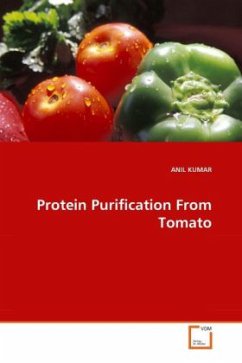Protein Purification From Tomato - KUMAR, ANIL