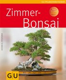 Zimmerbonsai