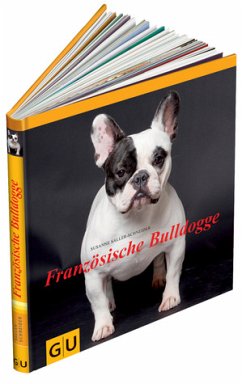 Französische Bulldogge - Saller-Schneider, Susanne