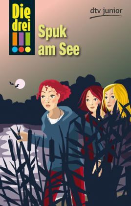 Spuk am See / Die drei Ausrufezeichen Bd.14 Spuk am See / Die drei Ausrufezeichen Bd.14