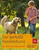 Der perfekte Familienhund