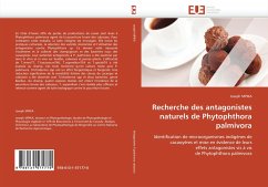 Recherche des antagonistes naturels de Phytophthora palmivora - MPIKA, Joseph