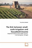 The link between small-scale irrigation and household income