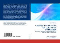 GRADIENT TYPE METHODS FOR LARGE SCALE OPTIMIZATION