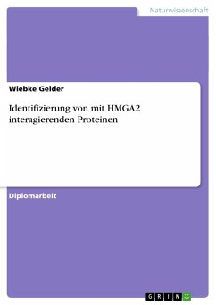 Identifizierung von mit HMGA2 interagierenden Proteinen