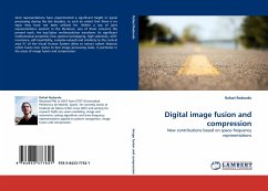 Digital image fusion and compression - Redondo, Rafael