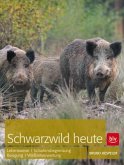 Schwarzwild heute