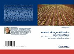 Optimal Nitrogen Utilization in Lettuce Plants