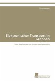 Elektronischer Transport in Graphen