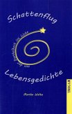 Schattenflug aus der Dunkelheit ins Licht
