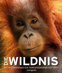 Die Wildnis