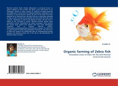 Organic farming of Zebra fish