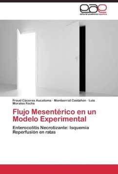 Flujo Mesentérico en un Modelo Experimental - Cáceres Aucatoma, Freud;Castañon, Montserrat;Morales Fochs, Luis