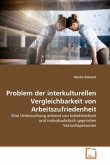 Problem der interkulturellen Vergleichbarkeit von Arbeitszufriedenheit