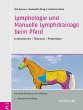 Lymphologie und Manuelle Lymphdrainage... - Bild 1