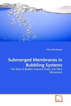 Submerged Membranes in Bubbling Systems - Wicaksana, Filicia