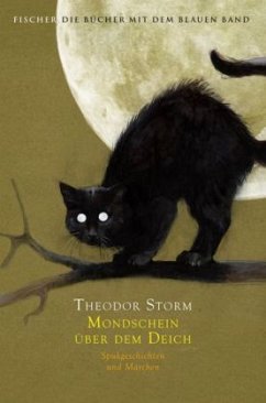 Cover Mondschein über dem Deich