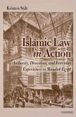 Islamic Law in Action: Authority, Discretion, and Everyday Experiences in Mamluk Egypt
