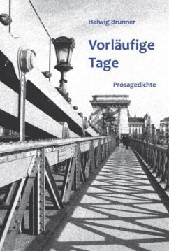 Vorläufige Tage - Brunner, Helwig