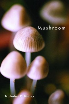 Mushroom - Money, Nicholas P