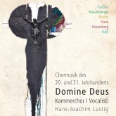 Domine Deus-Chormusik Des 20.Jh.