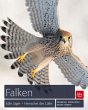 Falken - Bild 1