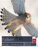 Falken