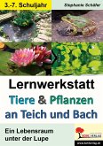Tiere & Pflanzen an Teich und Bach