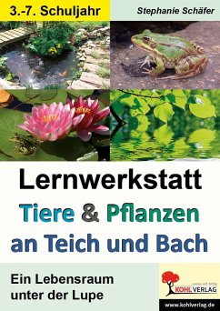Tiere & Pflanzen an Teich und Bach - Schäfer, Stephanie