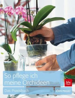 So pflege ich meine Orchideen - Pinske, Jörn