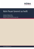 Kein Feuer brennt so heiß (eBook, PDF)