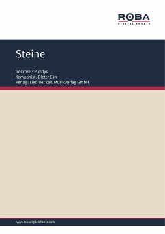 Steine (fixed-layout eBook, ePUB) - Birr, Dieter; Tilgner, Wolfgang