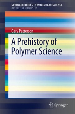 A Prehistory of Polymer Science - Patterson, Gary