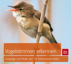 Vogelstimmen erkennen