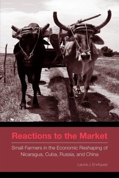 Reactions to the Market by Laura J. Enríquez Paperback | Indigo Chapters