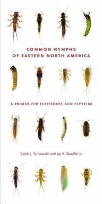 Common Nymphs of Eastern North America - Tzilkowski, Caleb J; Stauffer Jr, Jay R