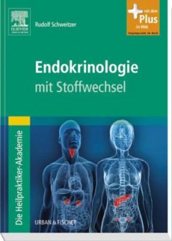 Cover Endokrinologie mit Stoffwechsel