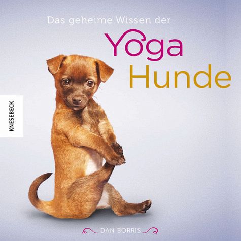 Das geheime Wissen der Yoga-Hunde von Dan Borris portofrei bei bücher.de  bestellen